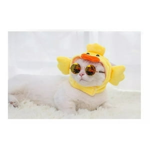 Defensor - Gorro Disfraz De Pato Más Lentes, Para Gatos, Mascotas