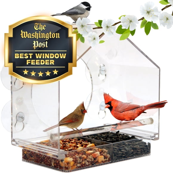 Alimentador de Aves para Ventana Nature Anywhere - Pack de 2 para Exterior