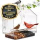 thumbnail image 1 of Alimentador de Aves para Ventana Nature Anywhere - Pack de 2 para Exterior, 1 of 6