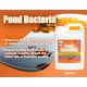 thumbnail image 3 of Bacterias para estanque Pond Worx 15 L para fuentes de agua, seguro para koi, 3 of 8