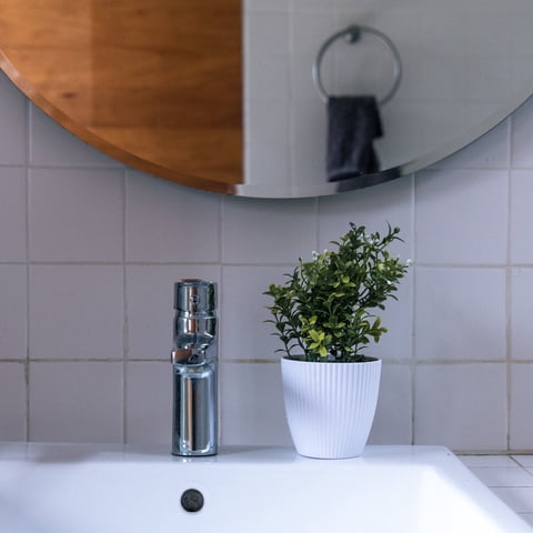 Vadell Home - Boj Con Flores Blancas De 24 Cm Con Macetero