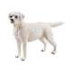 thumbnail image 5 of Modelos De Estatuillas De Perros Emulacionales Pintados A Mano Para Decoración De Fiestas Temáticas Labrador Blanco, 5 of 5