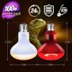thumbnail image 3 of Lámpara para Reptiles Leoterra H80100 100 W E26 Día y Noche, 3 of 3