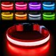 thumbnail image 1 of Collar luminoso recargable rojo PcEoTllar L para perro, 1 of 6