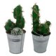 thumbnail image 1 of Cactus Artificial Verde Artesanal Hogar Y Decoración, 1 of 3