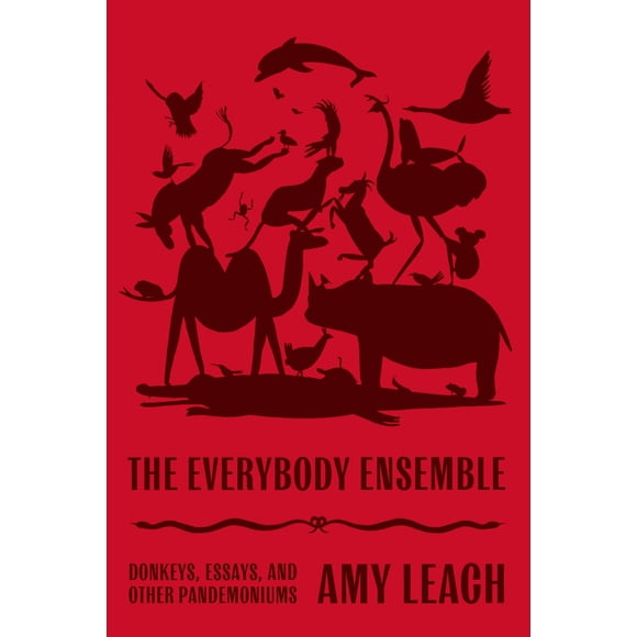 Libro Farrar Straus and Giroux The Everybody Ensemble