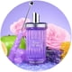 thumbnail image 4 of Perfume Sugarful Sweet Nothings de Michel Germain, Eau de Parfum, 100 ml, 4 of 6