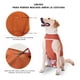thumbnail image 4 of Body De Cobre Completo Post Quirúrgico Talla 1 (2.5 A 3.5kg), 4 of 5
