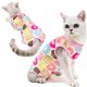 thumbnail image 5 of Traje De Recuperación Postoperatoria Para Mascotas Paquete De 2 Para Gatos Y Perros, 5 of 7