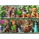 thumbnail image 2 of Puzzle Gatos en la estantería - 500 piezas, 2 of 2