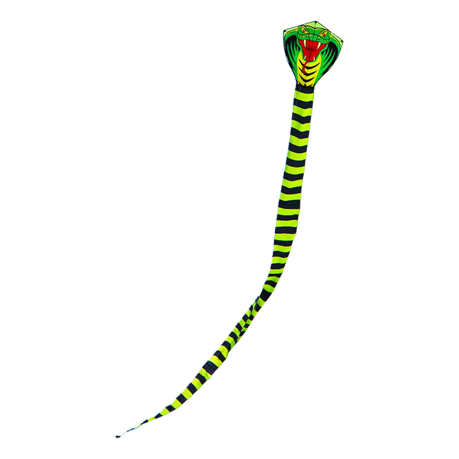 Bothyi - Cometa De Serpiente Fácil De Volar Cometa De Juguete Volador De Serpiente Para Juego De Granja Al Aire Libre Regalo De Cumpleaños 15m