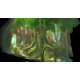 thumbnail image 2 of Reacondicionado Videojuego Xbox 360 Eternal Sonata BANDAI NAMCO Entertainment, 2 of 9