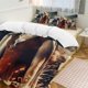thumbnail image 1 of Game of Thrones 3-Piece Bedding Set Duvet Cover Set Soft Warm And Comfortable Soft Bed Set for Bedroom, 1 of 5