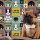 thumbnail image 3 of Azulejo autoadhesivo decorativo 15x15 Pets, 3 of 5
