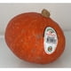 thumbnail image 1 of Zapallo orange summer, 1 Un, 1 of 1