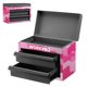 thumbnail image 1 of Caja de Herramientas Mini de Metal WORKPRO 27 cm × 15 cm × 20,6 cm 2 Cajones 2,6 kg, 1 of 7