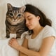 thumbnail image 3 of Almohada Con Gato Estampado Divertido Cómoda 26 cm, 3 of 4