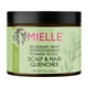 thumbnail image 1 of Acondicionador para cuero cabelludo y cabello de pomada a aceite Mielle Rosemary Mint 150 ml, 1 of 3