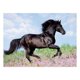 thumbnail image 2 of Puzzle XXL Caballo Negro 200 Piezas, 2 of 2