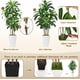 thumbnail image 4 of Ciervo volador artificial con forma de árbol de dracaena de 6 pies con maceta blanca, 4 of 6