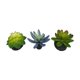 thumbnail image 3 of Planta Suculenta Komodo de PVC Pequeña, 3 in, Pack de 3 para Acuario, 3 of 3