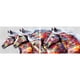 thumbnail image 1 of Cuadro Decorativo Moderno 4 Caballos (2Pzas), 1 of 3