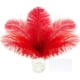 thumbnail image 1 of Plumas de avestruz SOGUGOM 30 piezas 20-25 cm rojo, 1 of 6