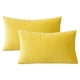 thumbnail image 1 of Funda de almohada de terciopelo con cremallera, funda de almohada de franela de felpa súper suave y cómoda con cremallera, 1 of 5