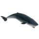 thumbnail image 2 of Figuras De Ballena Oceánica Animales Tiburón Vida Marina Juguetes Educativos Marinos Para Ni?os Cachalote F, 2 of 5