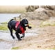 thumbnail image 5 of ¡Busca pelotas, ChuckIt! Set de 3 anfibios para perros medianos, 5 of 6