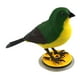 thumbnail image 5 of Juguetes Educativos De Música De Pájaro Controlado Con Voz Para Niños Parrot Para Bebés Para Bebés, 5 of 5