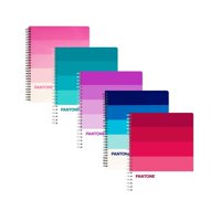 Genérico - Pack 5 Cuadernos Universitario Pantonera 100 Hojas 7Mm