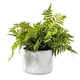 thumbnail image 1 of Planta Artificial Helecho 28 cm, 1 of 1
