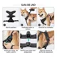 thumbnail image 3 of Arnés de seguridad reflectante con correa ajustable para mayor visibilidad y control durante los paseos para perros pequeños y medianos., 3 of 5