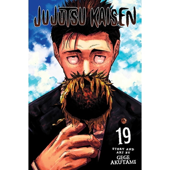 Libro VIZ Media LLC Jujutsu Kaisen Vol. 19
