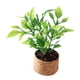 thumbnail image 4 of 1/12 Casa De Muñecas Plantas En Macetas De Plástico Micro Decoración De Paisaje Suministros De Paisaje, 4 of 5