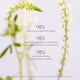 thumbnail image 4 of Sérum rejuvenecedor nocturno AHA KORA Organics Noni Night 30 ml, 4 of 7