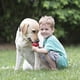 thumbnail image 2 of Juguete Para Perros Classic Fetch Chew Stuffable Para Tamaño Extra Grande, 2 of 9