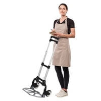 Prochef - Carro Transportador Tipo Yegua Plegable Aluminio 70 Kg.