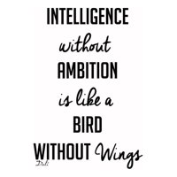 Rienda Libre Graphics - Decomural Intelligence Without Ambition Dali Ws-44032