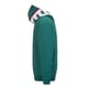 thumbnail image 2 of Poleron 222 Banda Men 10 Falco Green Violet White, 2 of 2
