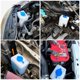 thumbnail image 2 of Kit de Bomba de Lavado de Parabrisas Universal Swess 12V para Coche, Camión, SUV, RV, ATV y UTV, 2 of 7