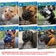 thumbnail image 3 of Cesta transpirable Dog Muzzle Mayerzon para perros grandes, 3 of 9