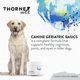 thumbnail image 2 of Suplemento ThorneVET Canine Geriatric Basics para perros mayores, 2 of 7