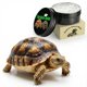 thumbnail image 4 of Bálsamo acondicionador e hidratante para caparazón de tortuga ropto, 4 of 9