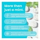 thumbnail image 4 of Neuro Mints Cafeina L-teanina Vitamina B12 Y B6 Energia 90un, 4 of 9
