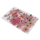 thumbnail image 4 of 36/37/38/39/42 Unid Natural Real Presionado Flores Secas DIY Scrapbook Rosa, 4 of 7
