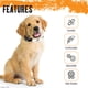 thumbnail image 3 of Collar para perros Pawsonify Naruto para perros grandes, medianos, XS/pequeños, 3 of 3