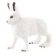 thumbnail image 5 of Figura De Conejo Realista Zoo Modelo De Animal De Granja Juguetes De Ense?anza Decoración De Mesa De Pie Blanco, 5 of 5