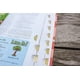 thumbnail image 4 of Biblia NIV Adventure Coral a todo color, 4 of 9